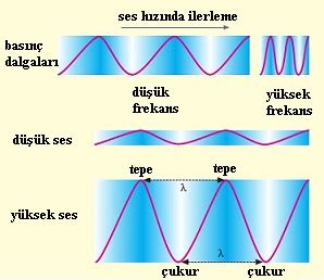 ses dalgalarının frekansı nelere bağlıdır